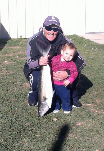 Saturday salmon from the jetty 27/6/15